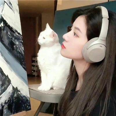 珠玉在侧